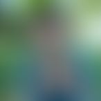 Lise5449, Femme, 34 ans, Pepinster (3)